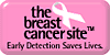 The Breast Cancer Site Icon